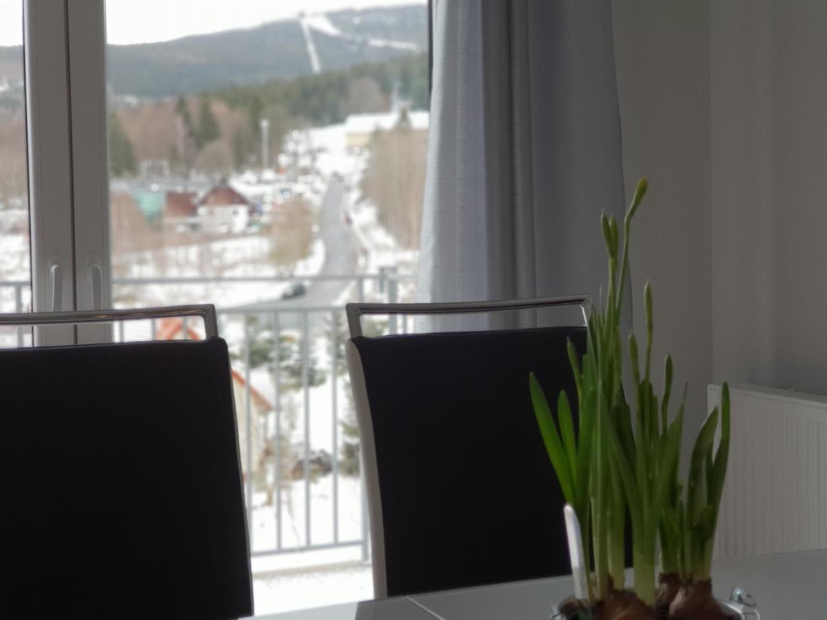 Vera Apartment Swieradow-Zdroj Zakopianska 22 C M10 Екстериор снимка